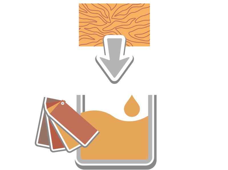 picture alternative text