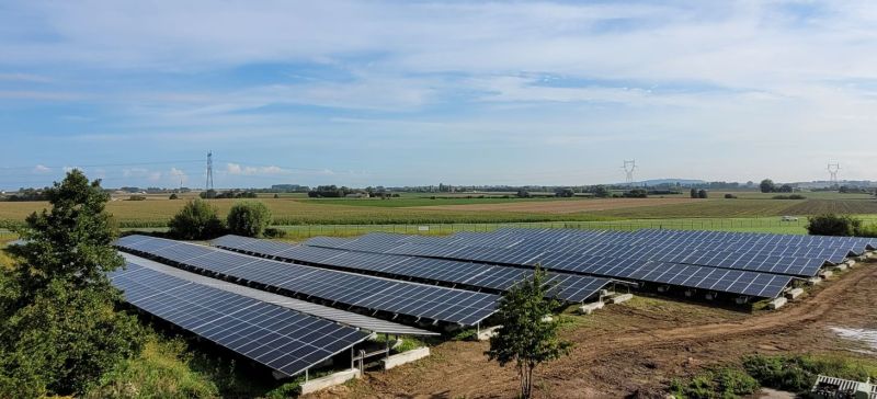 picture alternative text