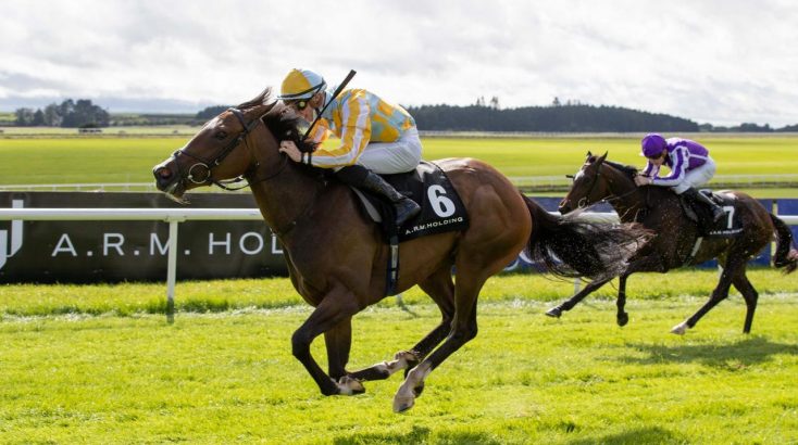 Curragh Race Sponsorship