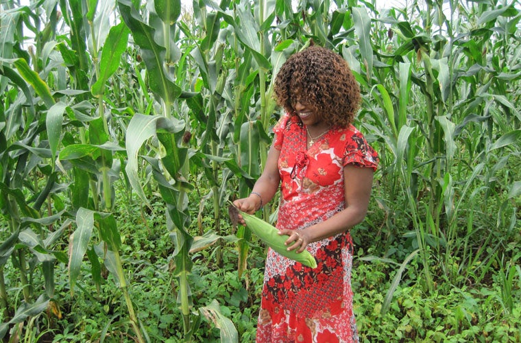 Internationale Zusammenarbeit und Minderheitenschutz