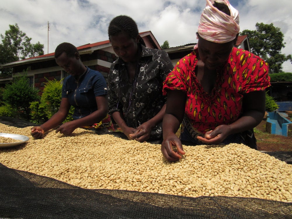 Indigenous Trans Women in Colombia Work on Coffee Farms