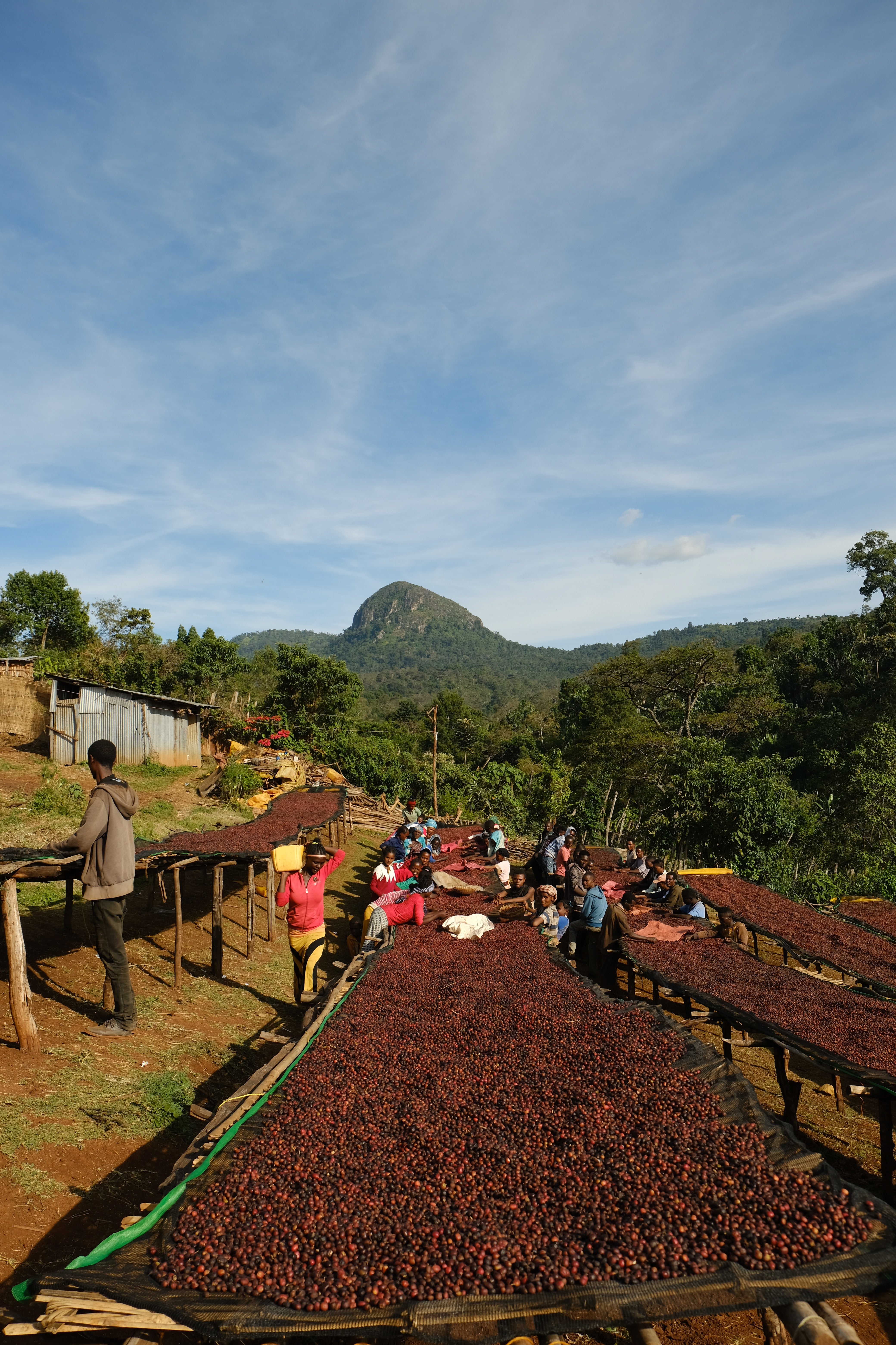 Rus porno tugilgan kuni Amurzet fohishalar