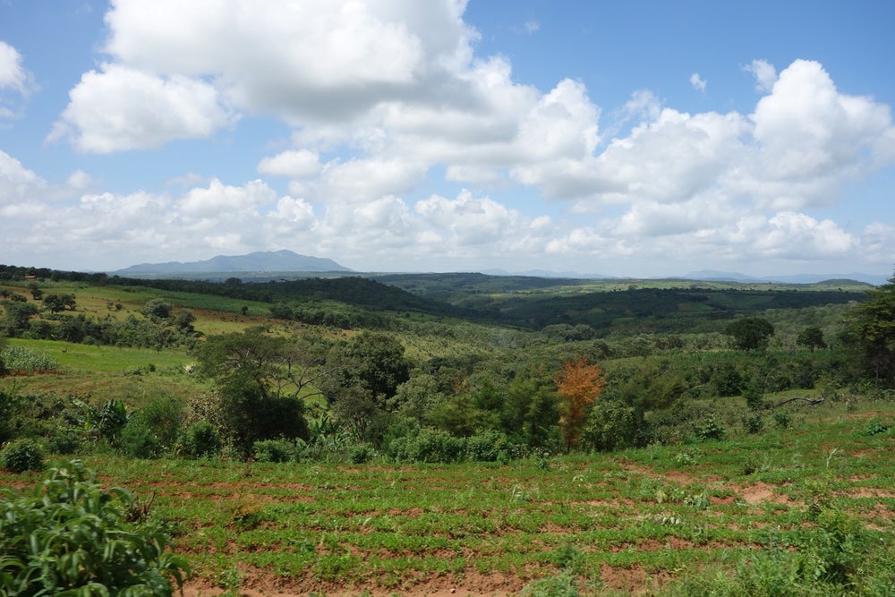 Sucafina: Mbeya AA Fully Washed