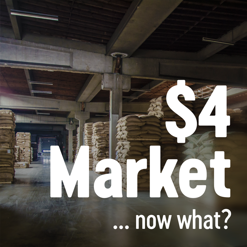 Sucafina: Navigating the $4 Coffee Market
