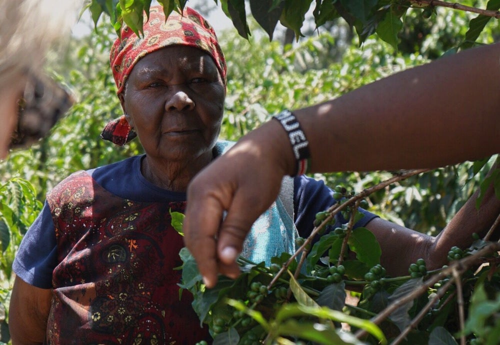 Sucafina: Mukunga Kiambu PB