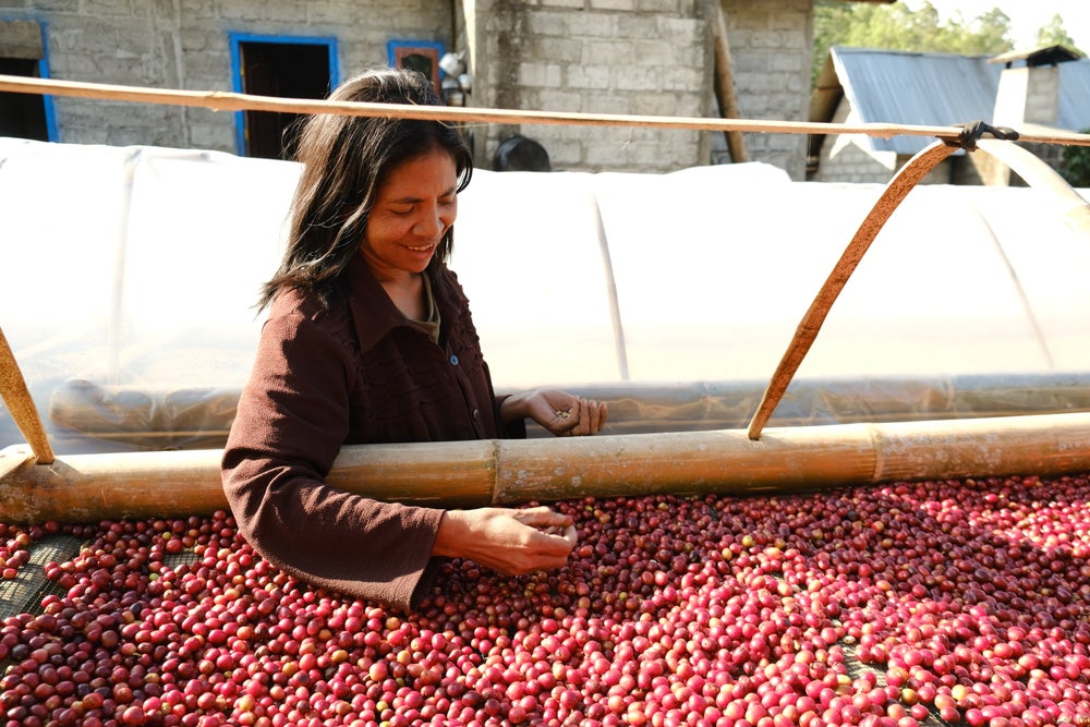 Complete Coffee Why Is Indonesian Coffee So Expensive?