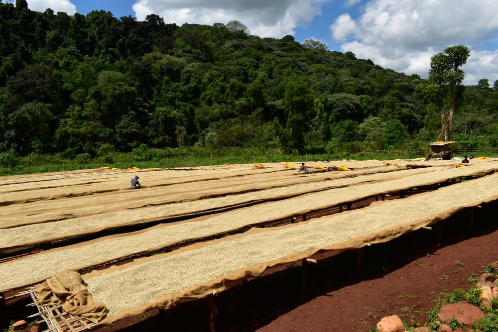 Yosh qizlar bilan porno jinsiy aloqa video