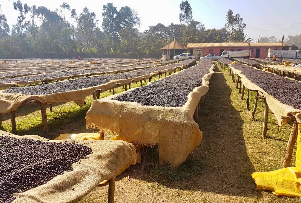 Xotinining eshagidagi dildo Onam qiziga jinsiy aloqa qilish uchun yigladi