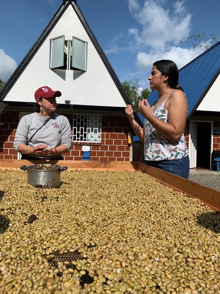 Sucafina: At Lucia Solis’ Fermentation Training Camp