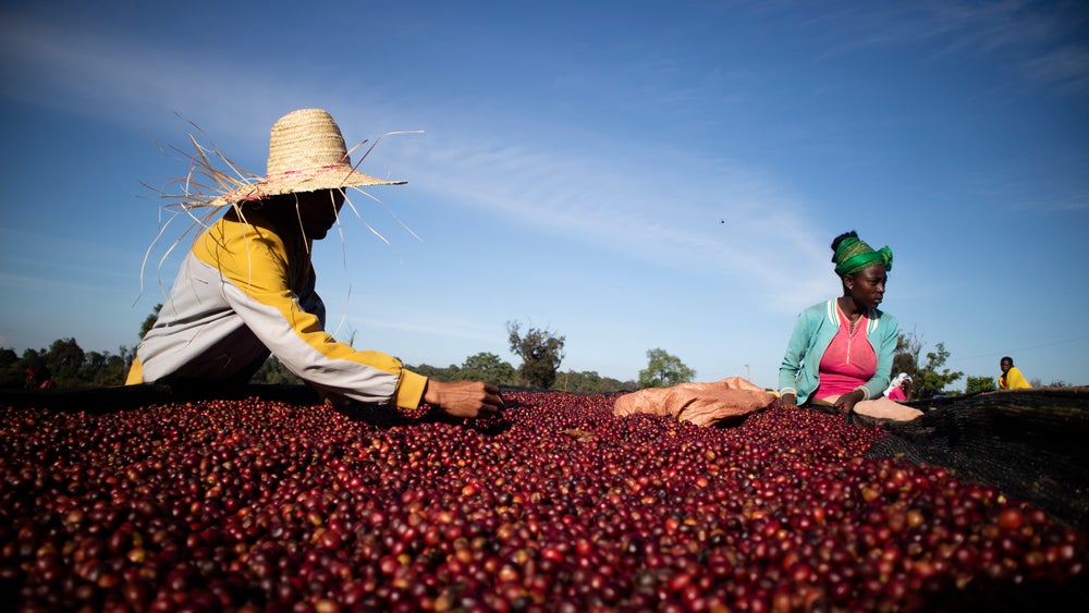 Qiz juda qattiq tomosha qiladi Porno paypoq vagina bilan yuzida otirib