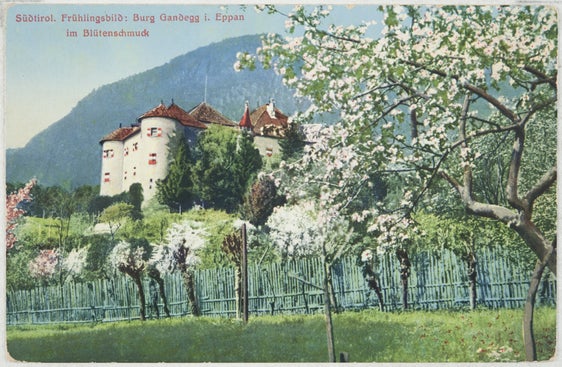 Sammlung Guido Fontanesi, Nr. 530 