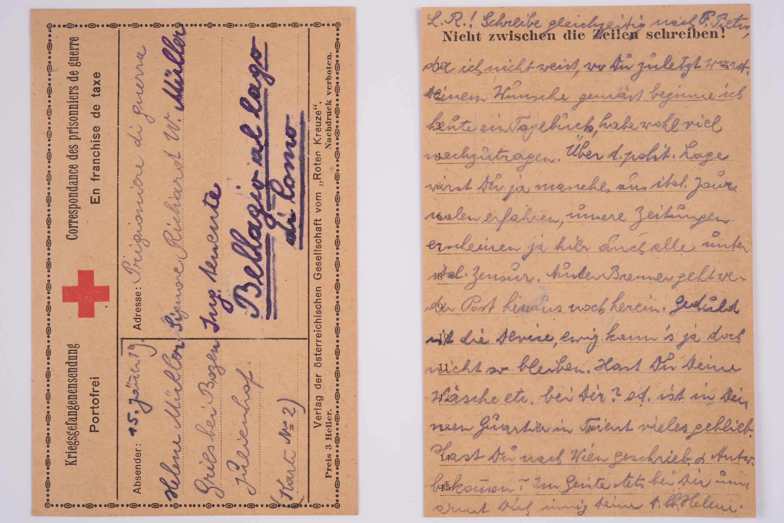 Nachlass Helene und Richard Müller, Nr. 6 