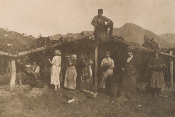 Geschlossene Doppelpergl am Gummer Hof in Bozen 1942, Bildarchiv Alois Ausserhofer, 433