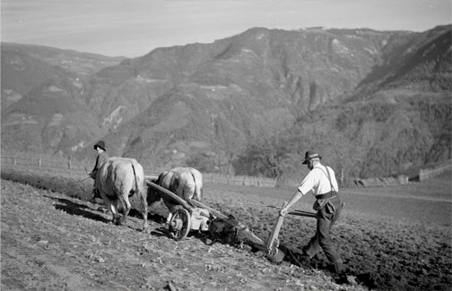Un contadino che ara nei dintorni di Castel Rafenstein (1937)