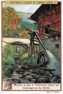 Sammlung Helene Oberleiter, Nr. 335_1