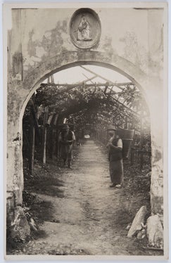 Rebenlaube. Eingang in eine schattige Promenade, Bozen 1930, Bildarchiv Helene Oberleiter, 1176