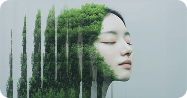 Image depicting Sustainability as a Foundational Force shaping consumer choices.