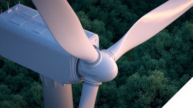 Foundational Trend Sustainability 