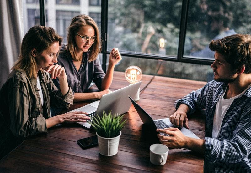 Analytics & Insights