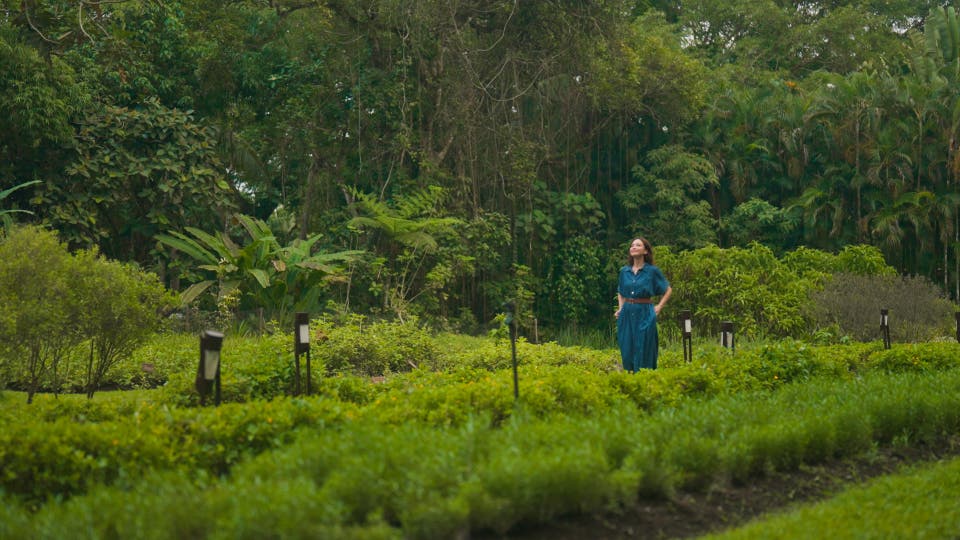 Article card header image