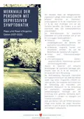 Passi und Passi d'Argento Daten 2017-2020: Merkmale der Personen mit depressiver Symptomatik