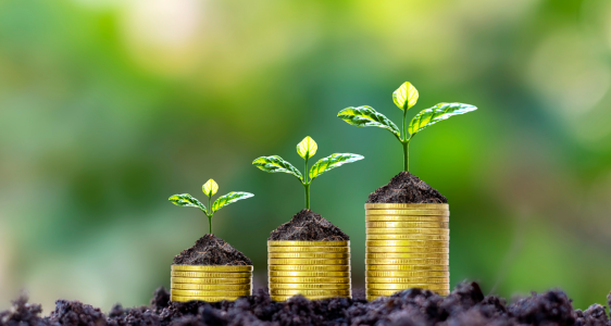 Förderung der Bildungsausschüsse