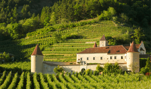 Schloss Goldrain im Grün