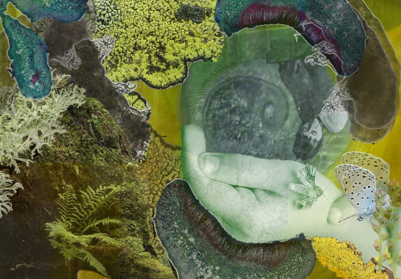 [Link esterno] Avanti