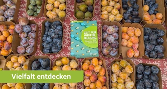 Die neue Zeit für Weiterbildung-Broschüre lädt dazu ein, die Vielfalt der Weiterbildungslandschaft in Südtirol zu entdecken. Die Druckausgabe liegt in zahlreichen Weiterbildungseinrichtungen, Bibliotheken und Landesämtern auf. (Foto: LPA/Amt für Weiterbildung und Sprachen)
