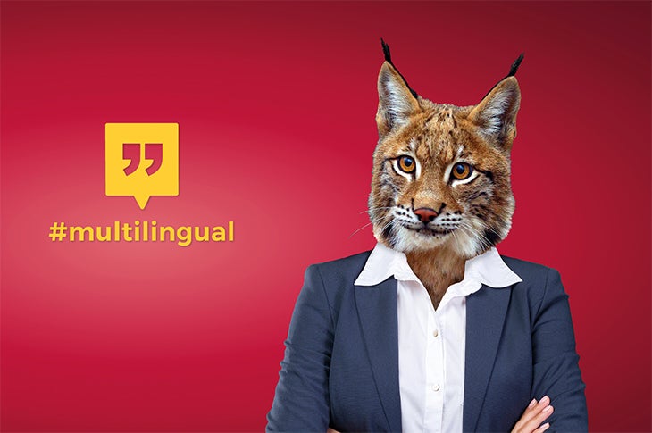 [Externer Link] Sprachenportal des Landes