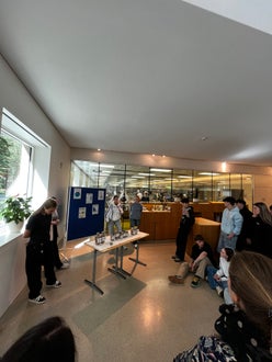 Zigarettenstummel-Projekt