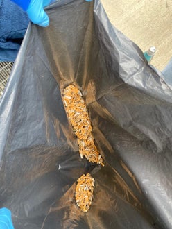 Zigarettenstummel-Projekt