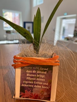 Nachhaltigkeit in der Hotellerie