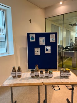 Zigarettenstummel-Projekt