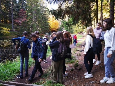 Projekt Waldbaden, 2. Hofa A