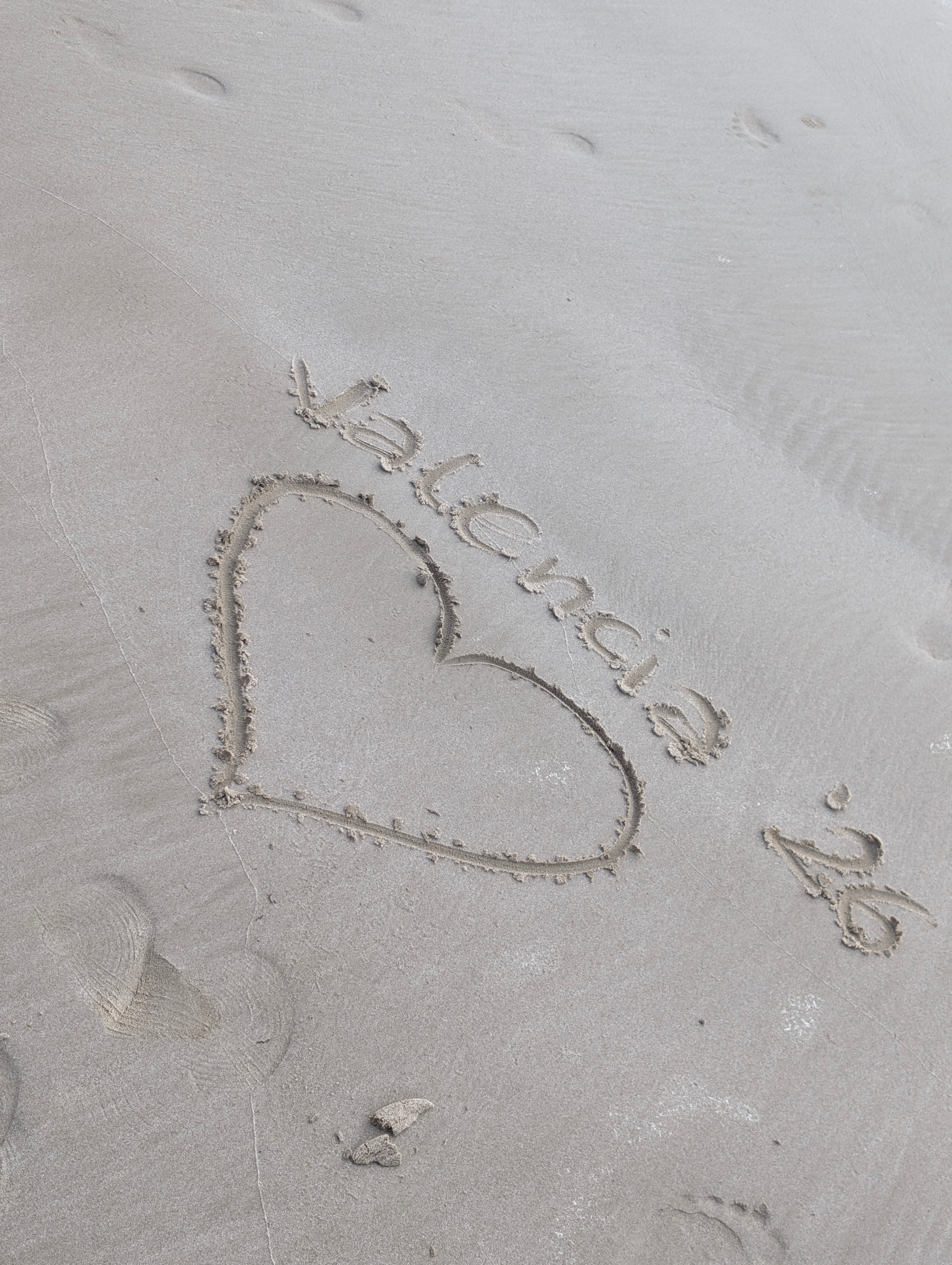 Erasmus Treff Valencia 2026