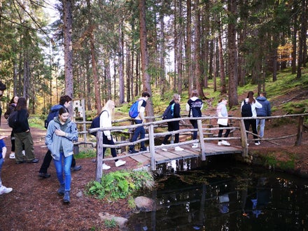 Projekt Waldbaden, 2. Hofa A