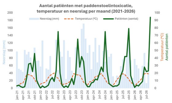 Figuur 1: Totaal aantal patiënten met een paddenstoelintoxicatie per maand over de periode 2021-2026 waarover het NVIC is geraadpleegd. De getallen zijn afgezet tegen de temperatuur en de neerslag per maand (bron: KNMI: KNMI - Overzicht van de neerslag en verdamping in Nederland en KNMI - Maandgemiddelde temperaturen, normalen, anomalieën). Voor 2026 zijn de neerslag- en temperatuurcijfers bekend tot en met augustus, het aantal paddenstoelintoxicaties is bekend tot en met september.