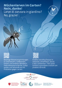 Mückenlarven im Garten? Nein, danke!