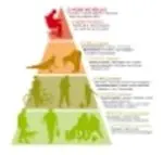 Medicina dello Sport e dell'Esercizio Fisico