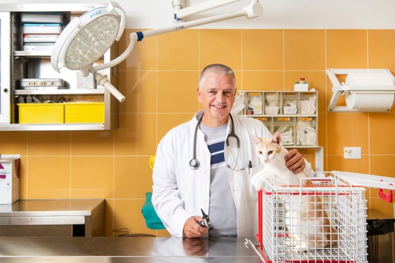 Dr. Christian Piffer, Direktor des Tierärztlichen Dienstes für den Bereich Tiergesundheit, Hygiene in der Tierzucht und in der Tierproduktion (Foto: Ivo Corrà)