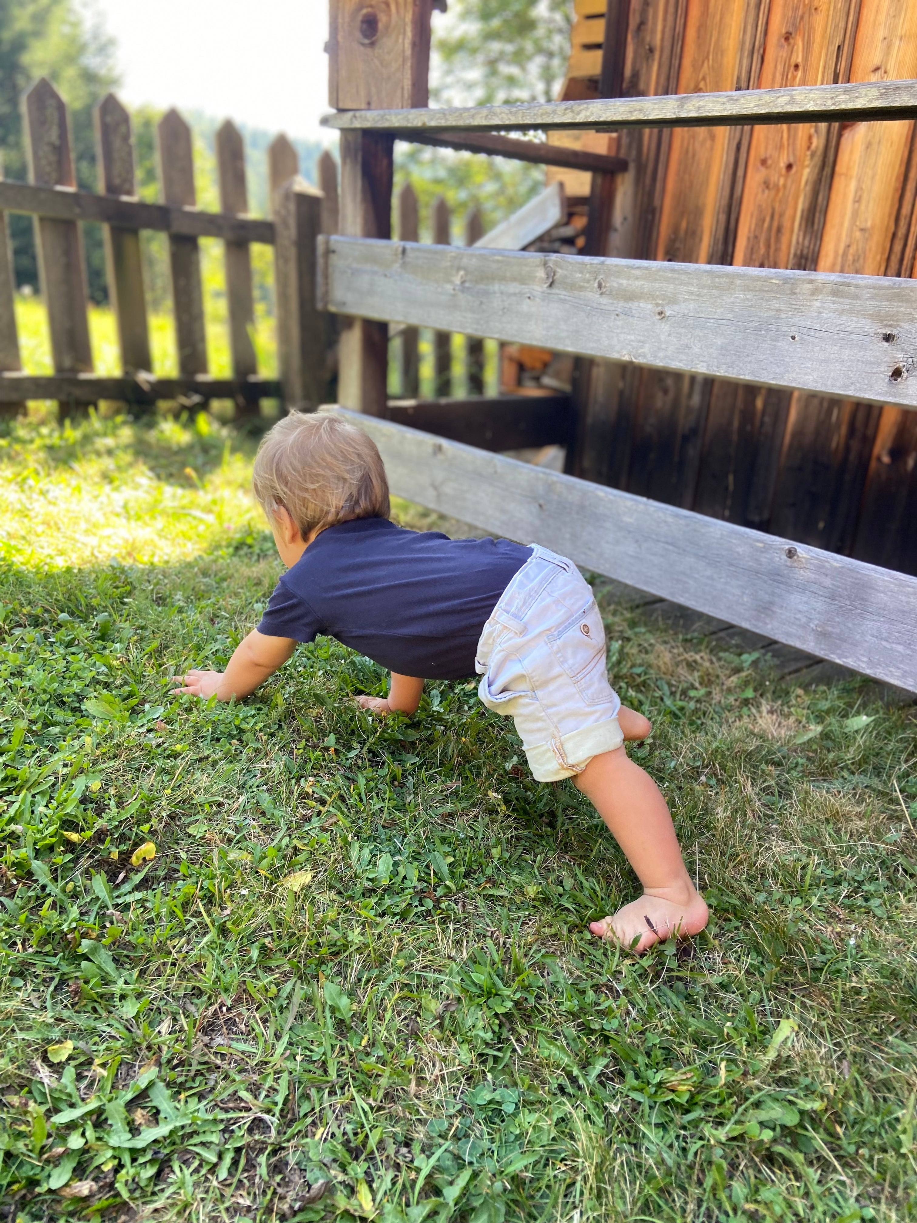 Genau zum richtigen Zeitpunkt operiert