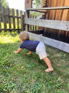 Genau zum richtigen Zeitpunkt operiert