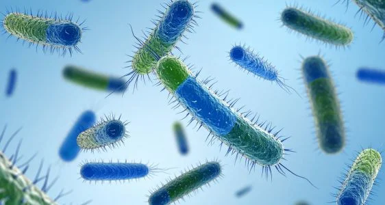 legionella