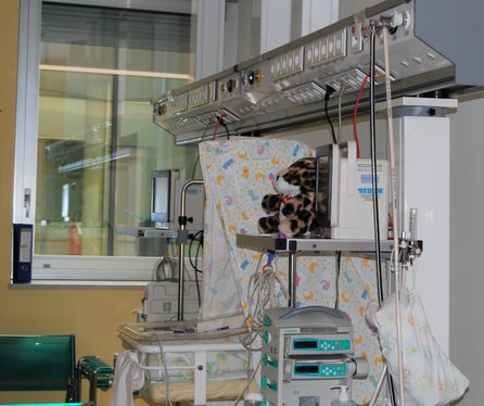 Neugeborenenbettchen