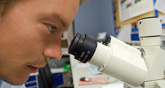 Labore des Südtiroler Sanitätsbetriebes