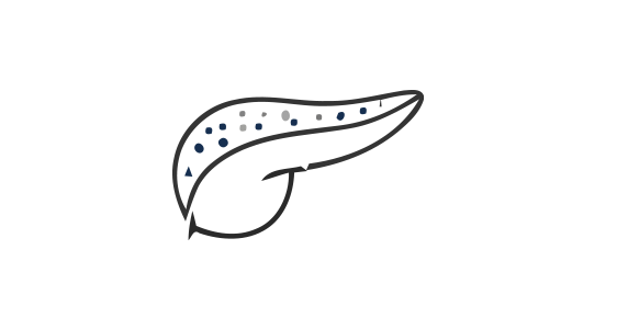 Pancreas