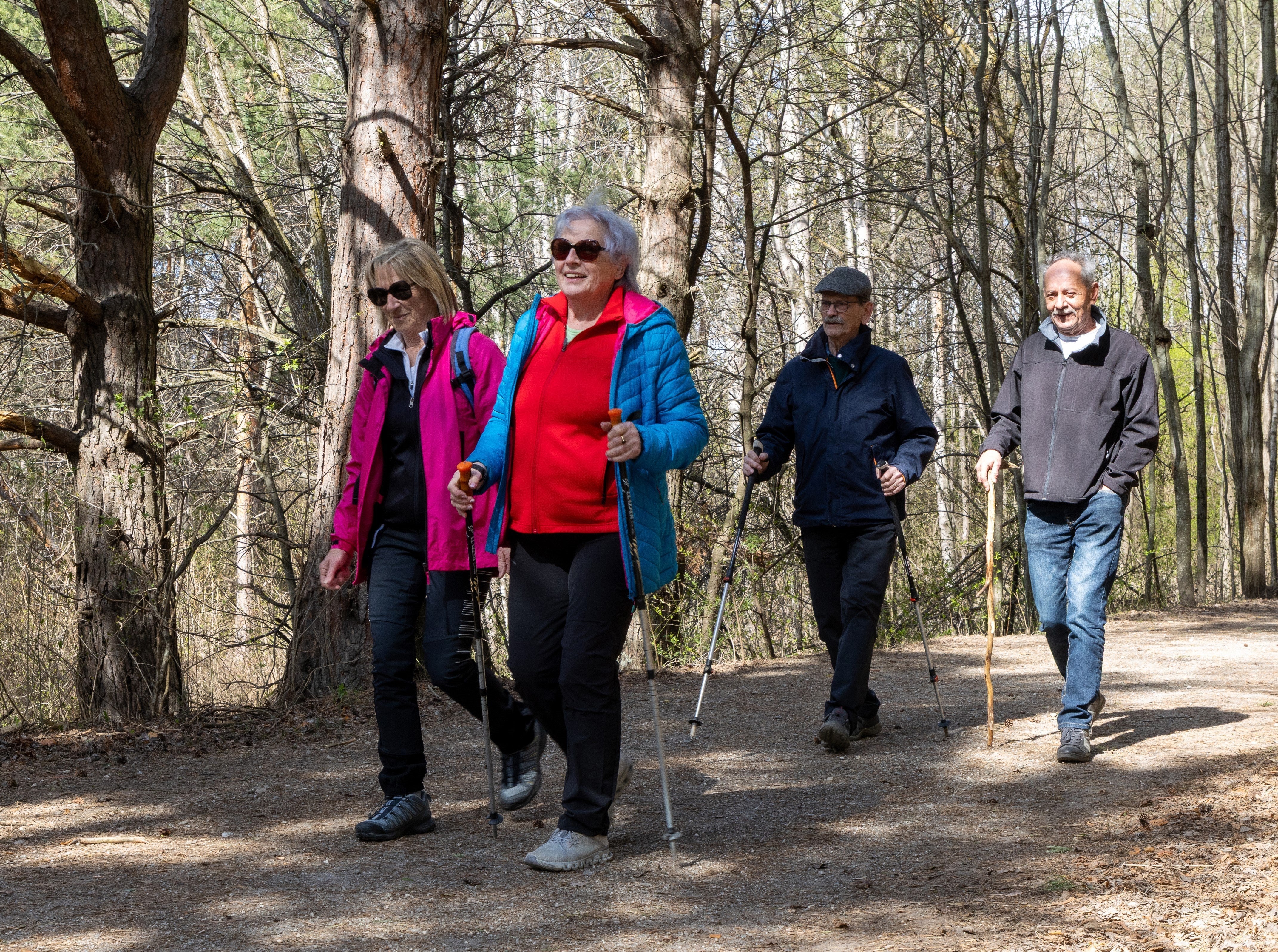 Ein Spaziergang ist eine einfache Möglichkeit, Bewegung in den Alltag zu bringen. Schon wenige zusätzliche Minuten Bewegung können sich positiv auf die Gesundheit auswirken. (Foto: LPA/Ingrid Heiss)