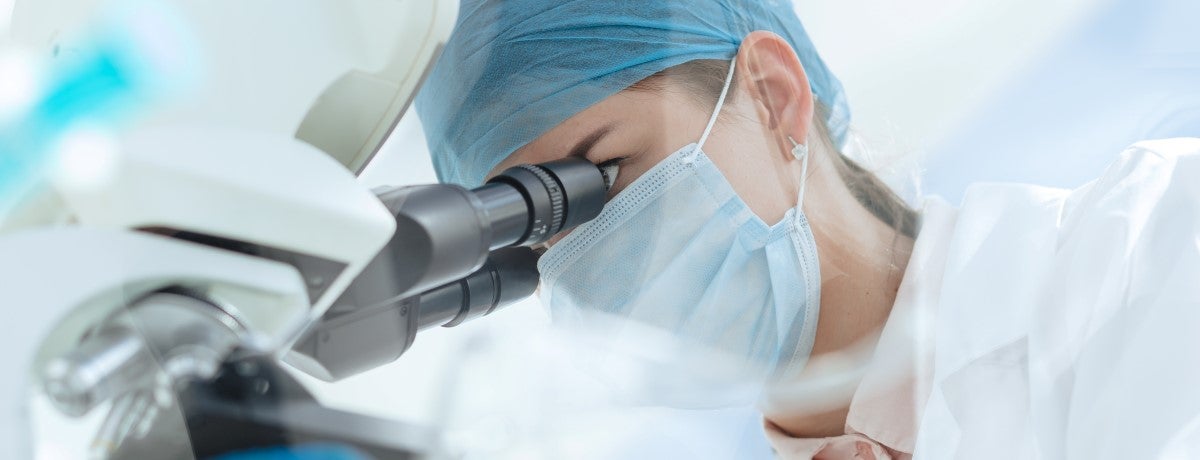 Innovation, Forschung und Lehre