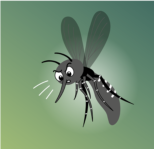 Vorsorge gegen die Tigermücke